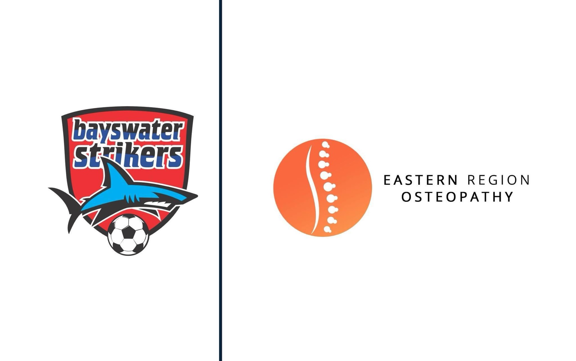 2024 SPONSOR – EASTERN REGION OSTEOPATHY